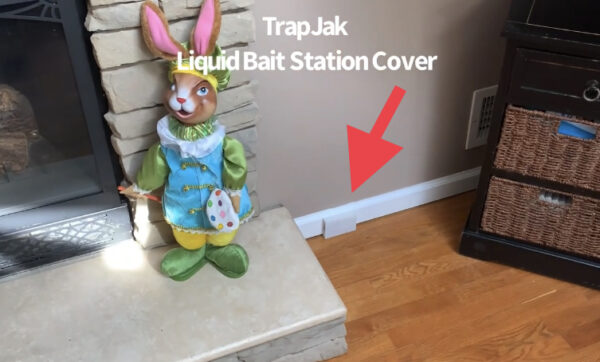 TrapJak Makes Liquid Ant Baits Blend In with your Baseboard